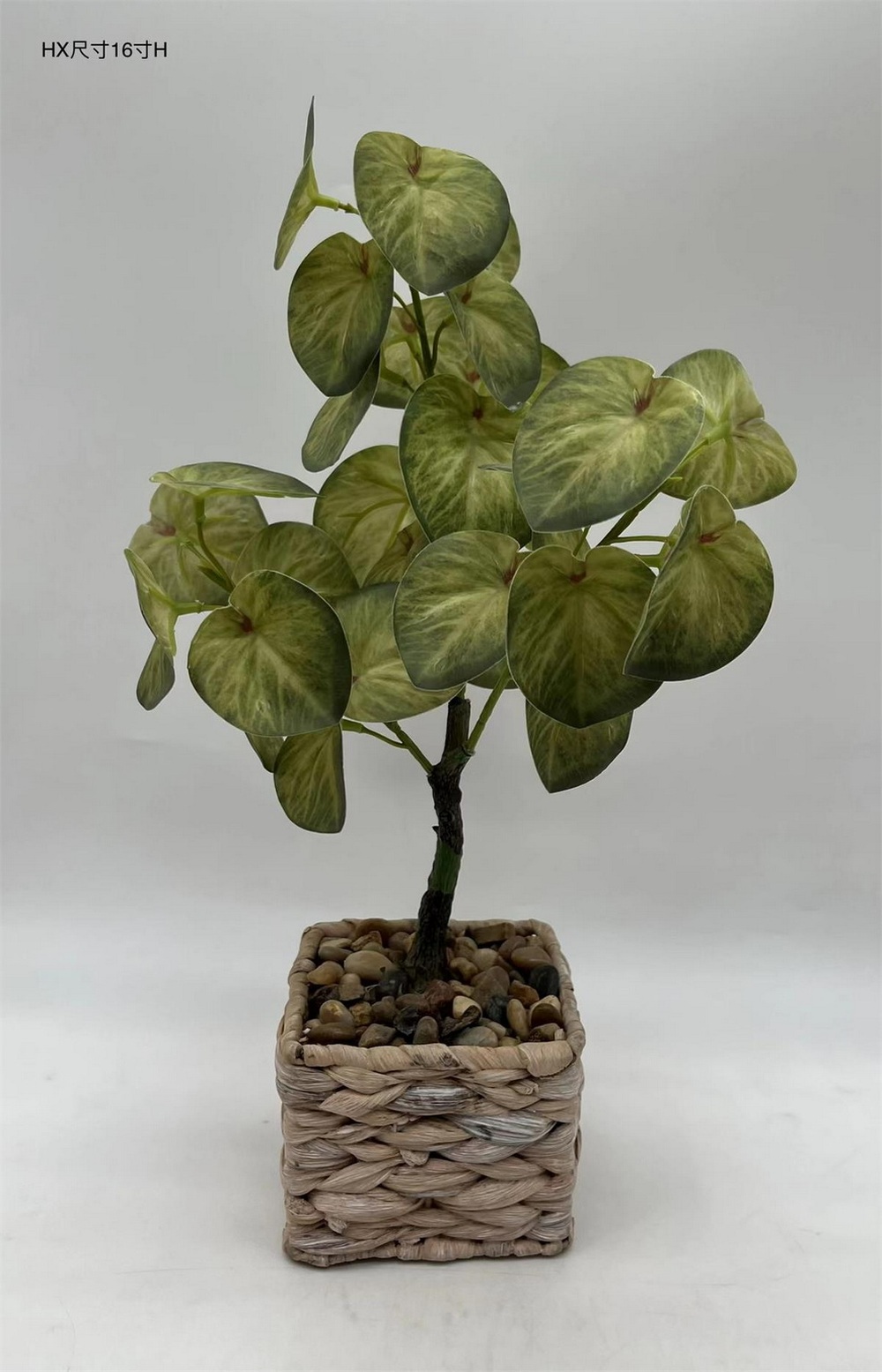 Botanical greenerly