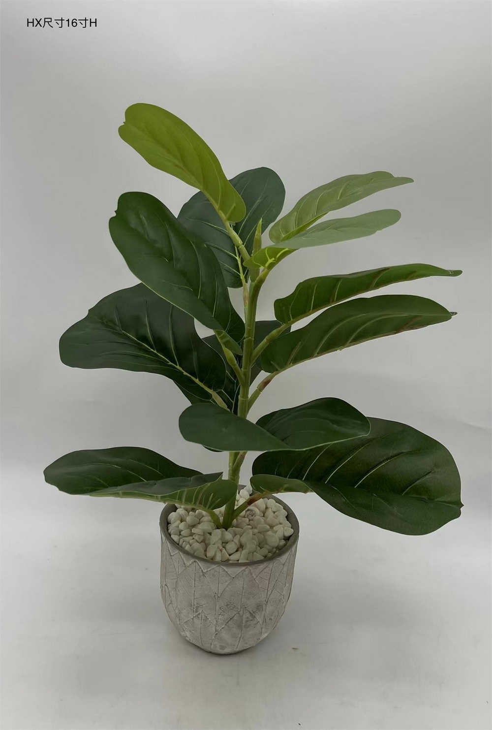 Botanical greenerly