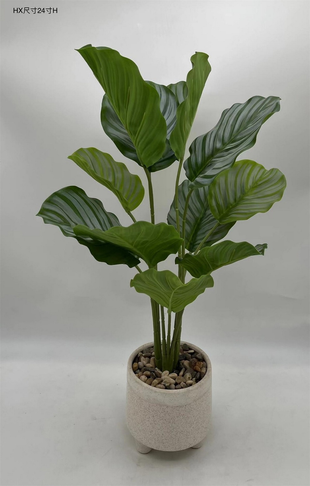 Botanical greenerly