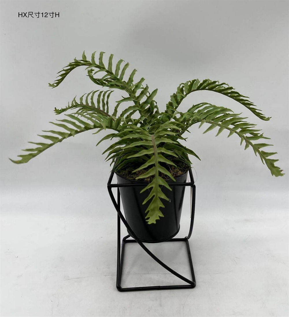 Botanical greenerly