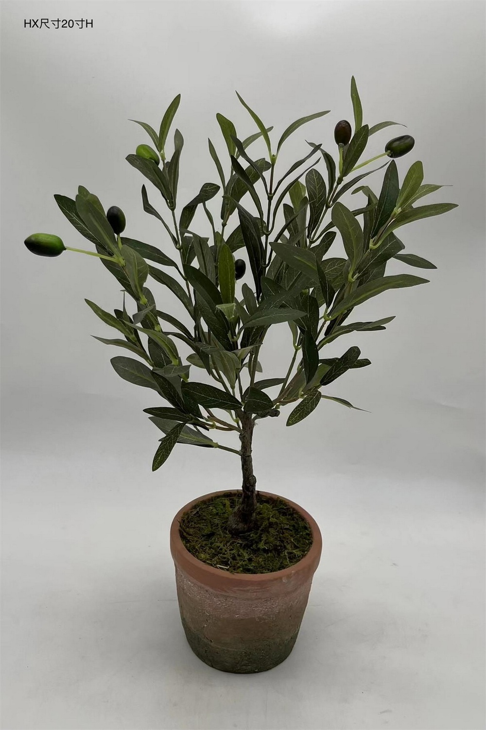 Botanical greenerly
