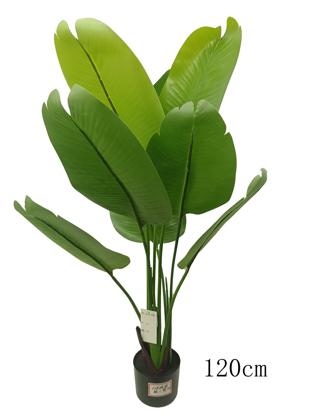 Botanical greenerly