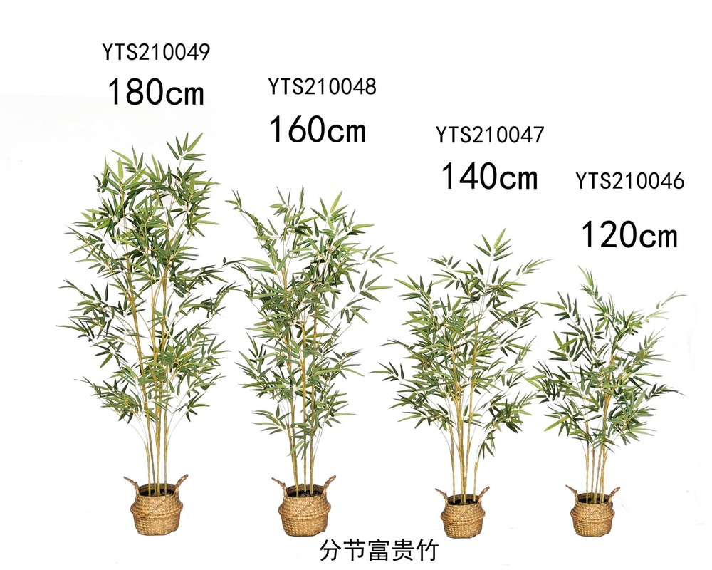 Botanical greenerly