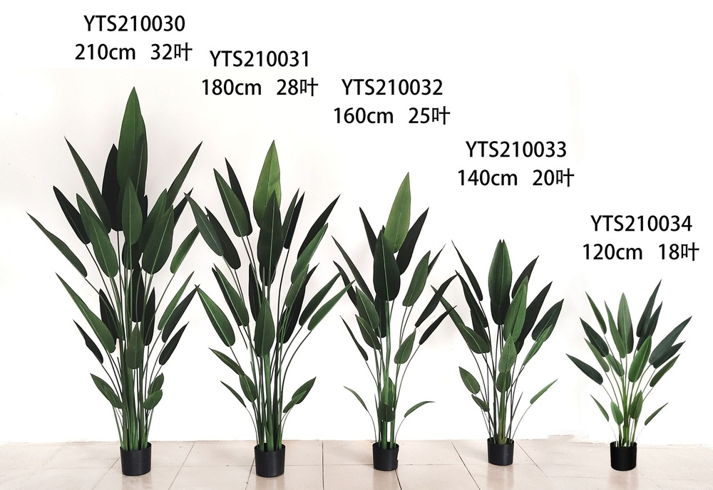 Botanical greenerly