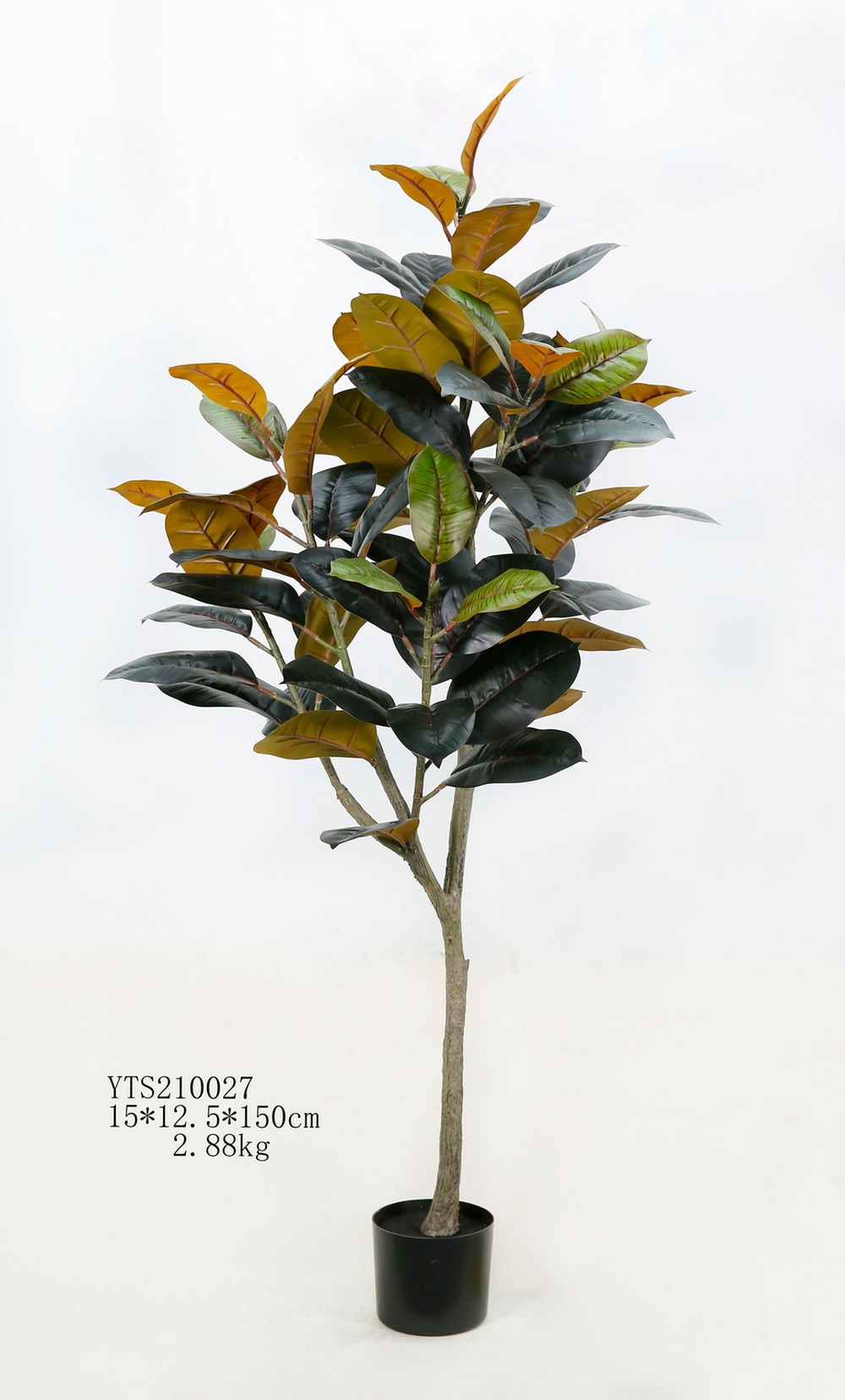 Botanical greenerly