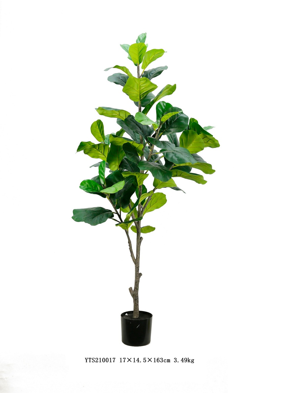 Botanical greenerly
