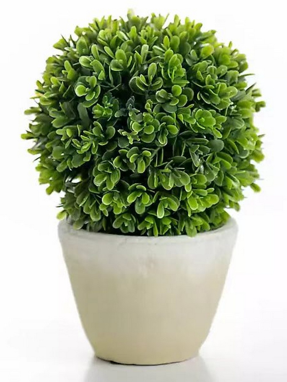 Botanical greenerly