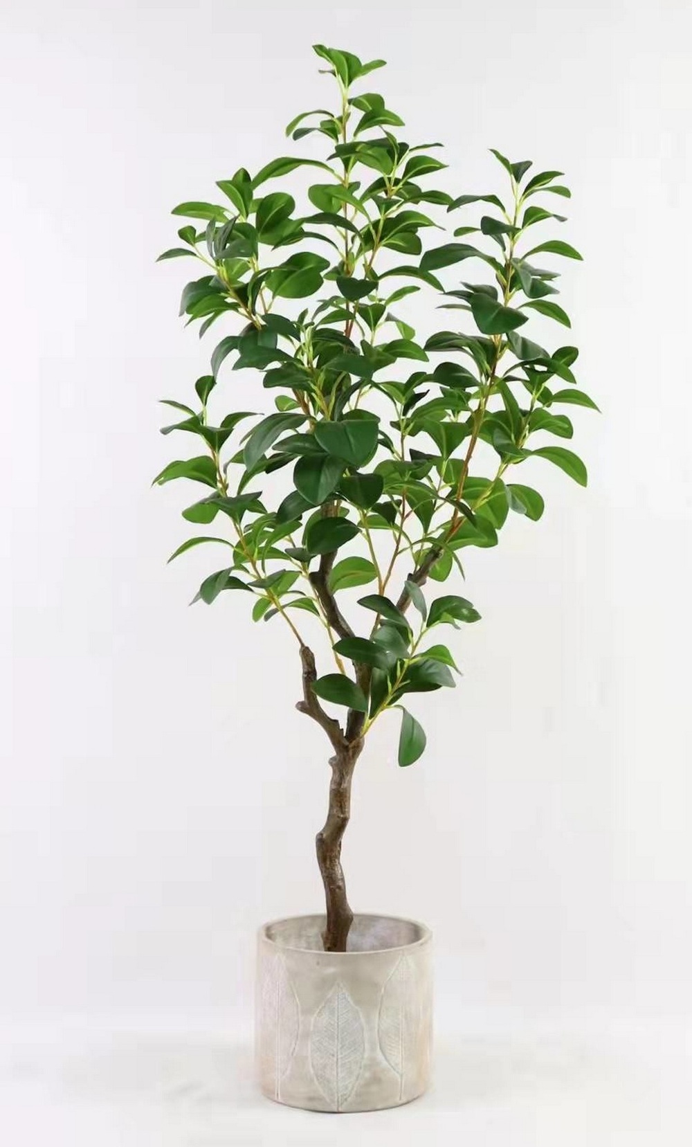 Botanical greenerly