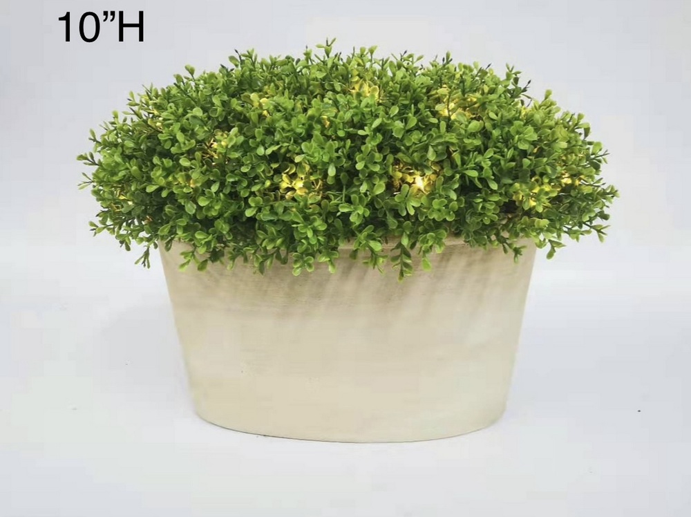 Botanical greenerly