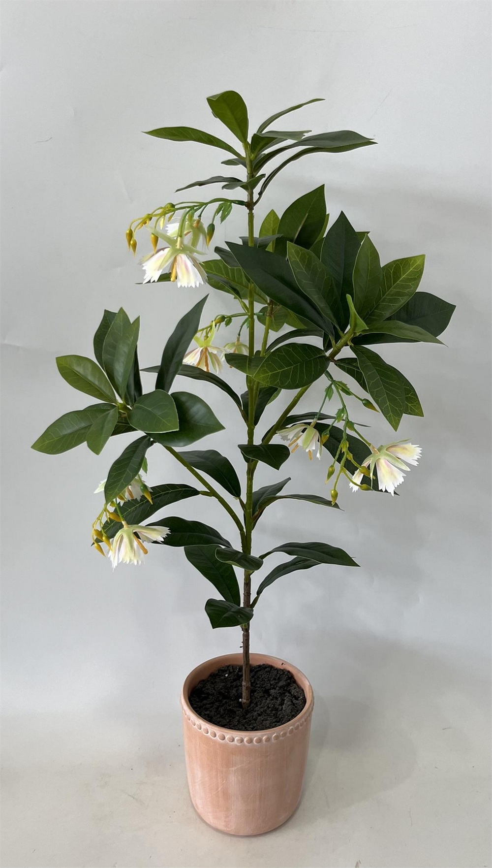 Botanical greenerly