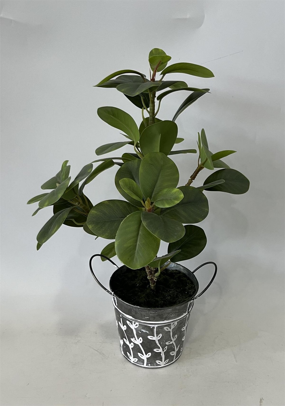 Botanical greenerly