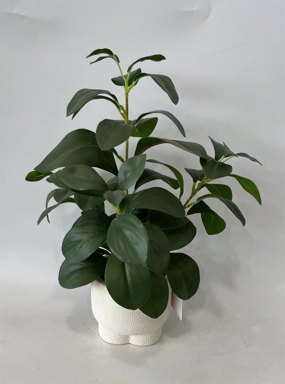 Botanical greenerly