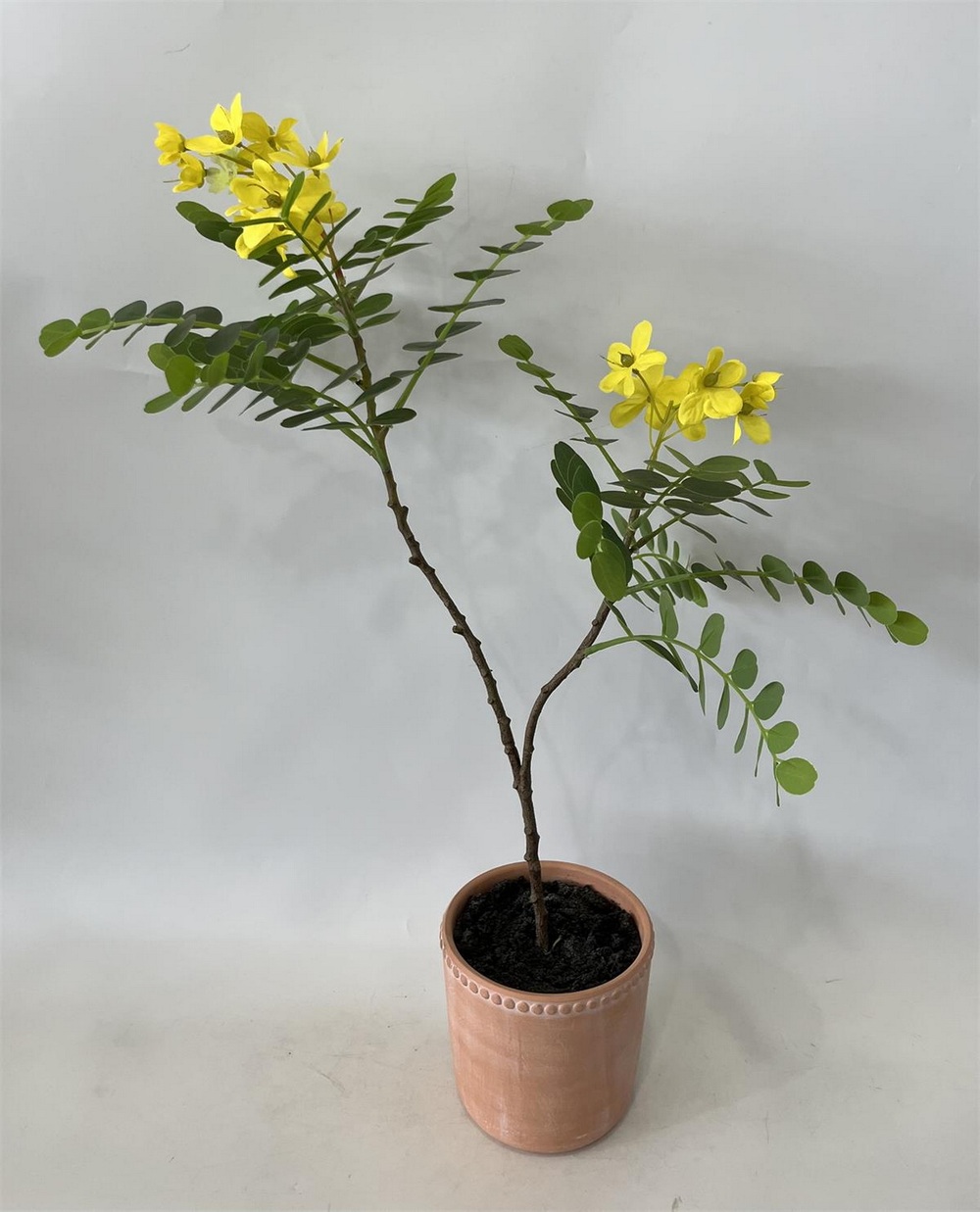 Botanical greenerly