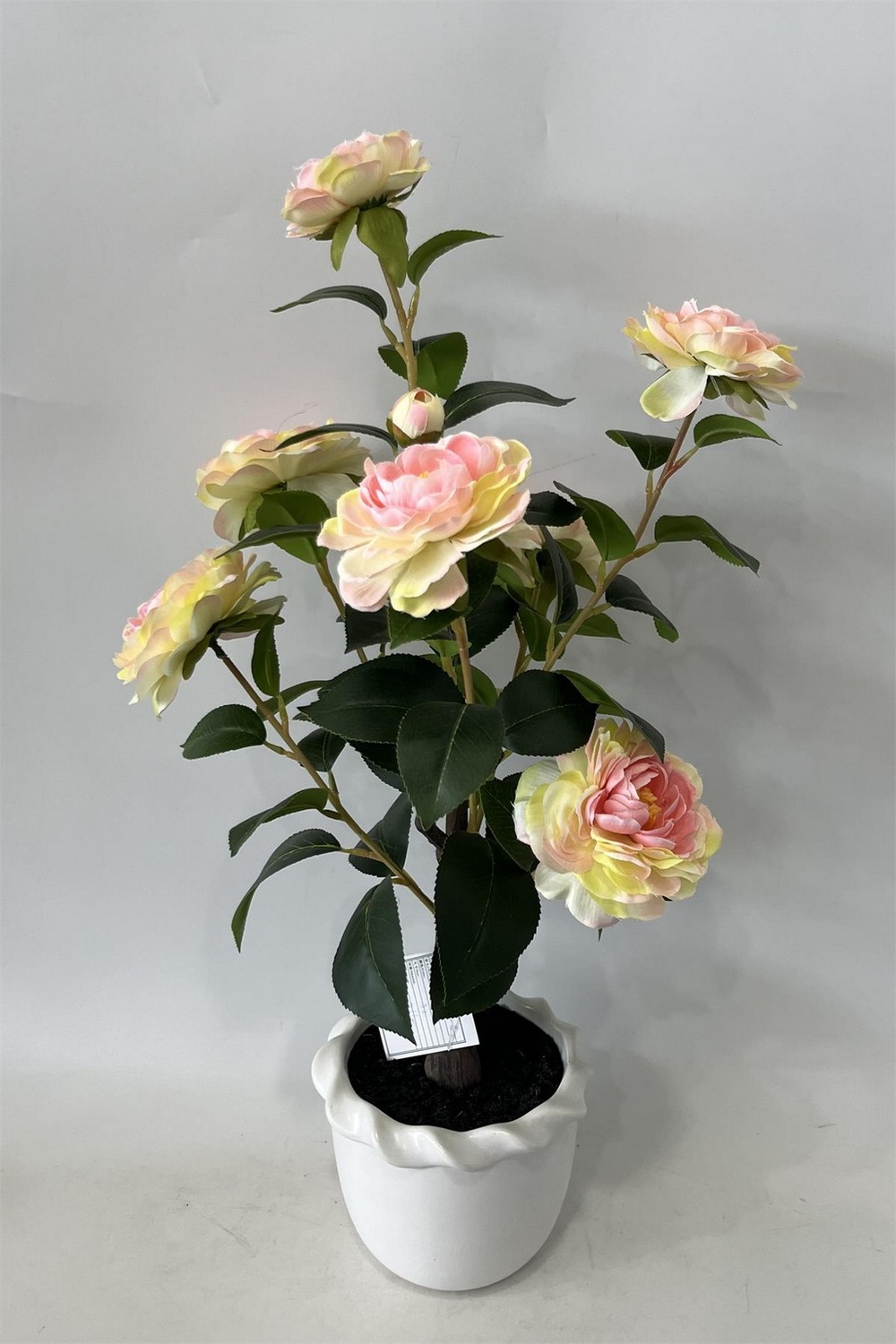 Botanical greenerly