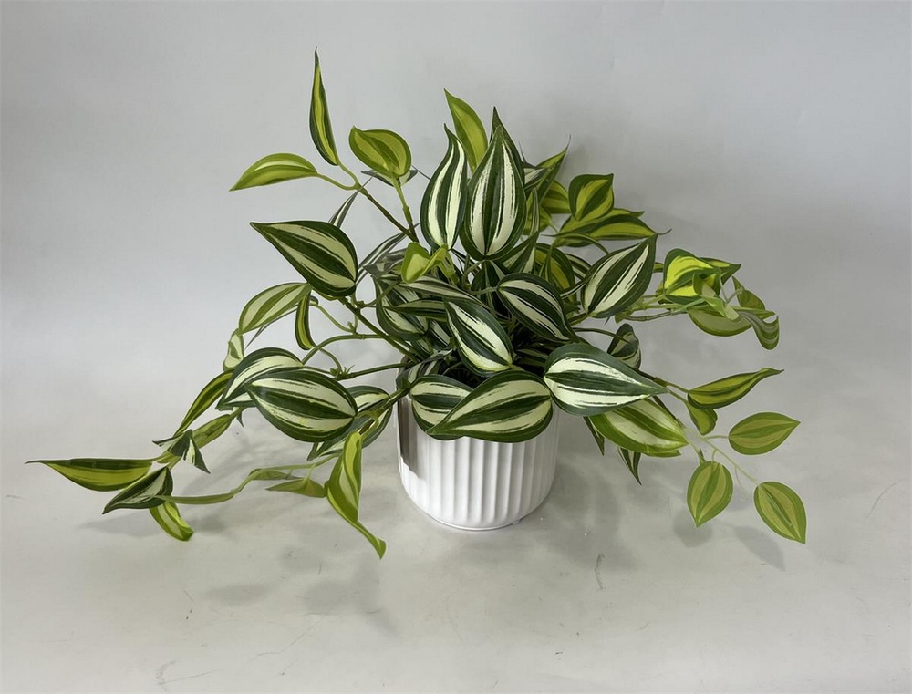 Botanical greenerly