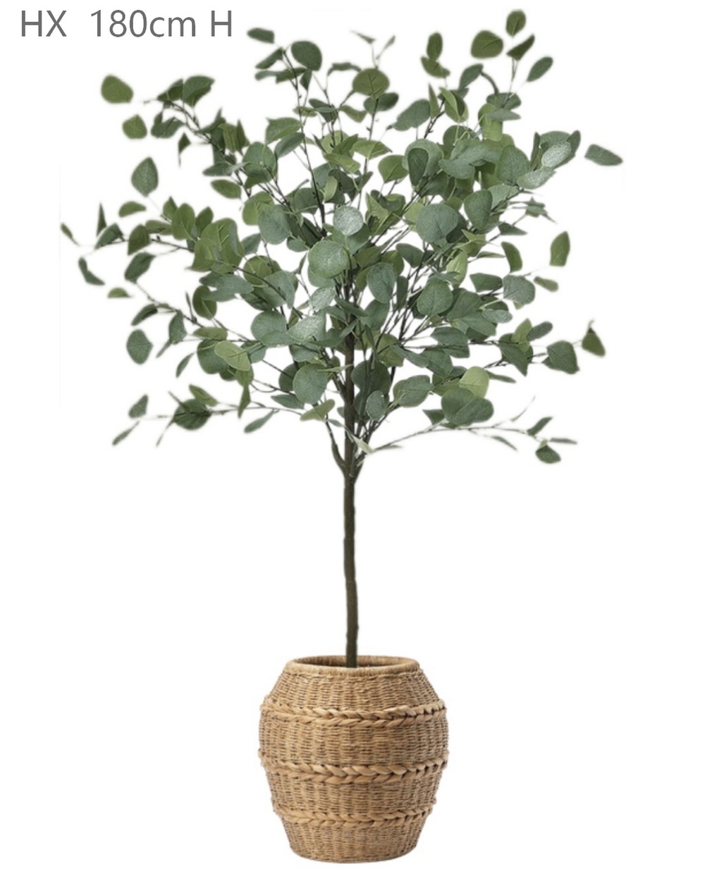 Botanical greenerly