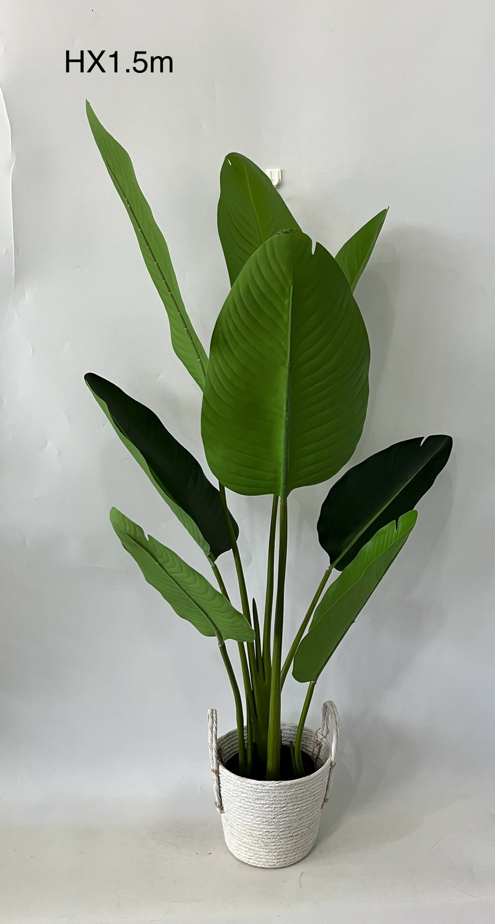 Botanical greenerly