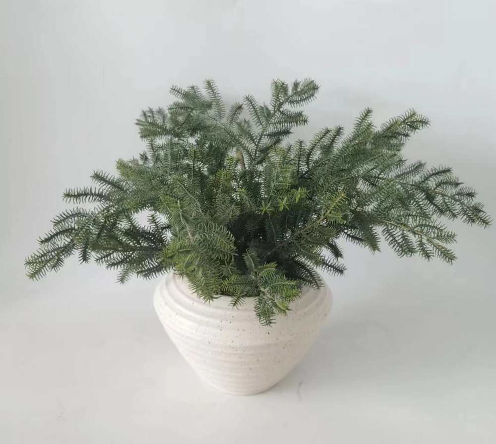 Botanical greenerly