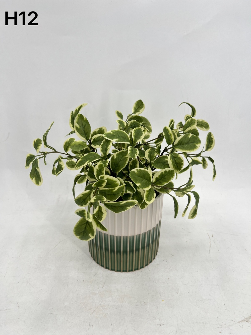 Botanical greenerly
