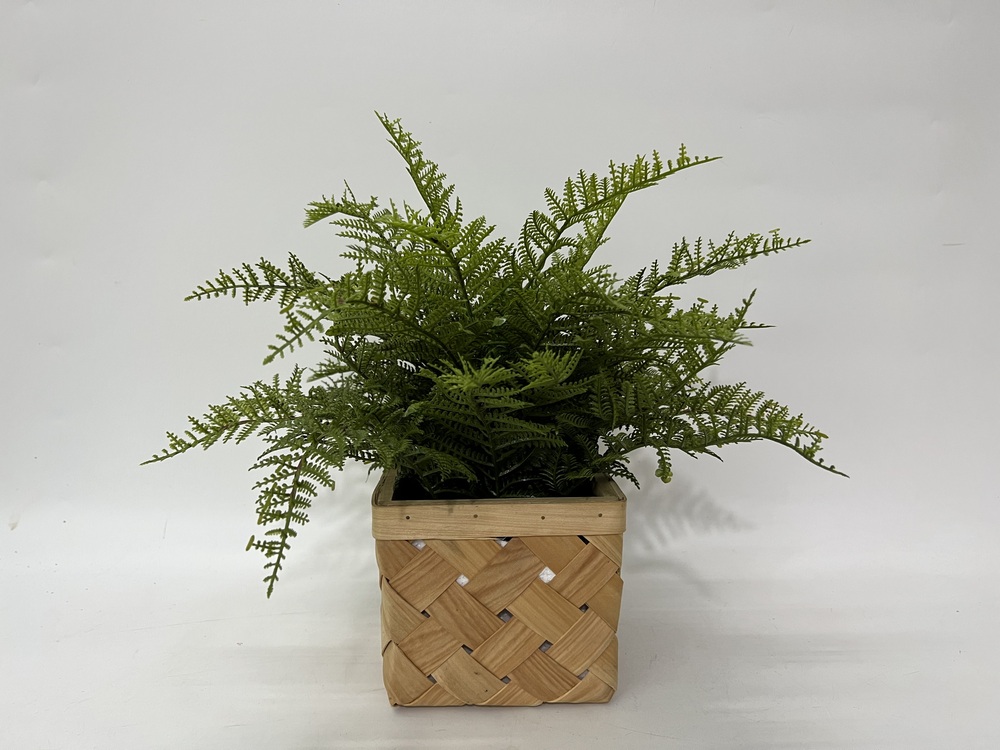 Botanical greenerly