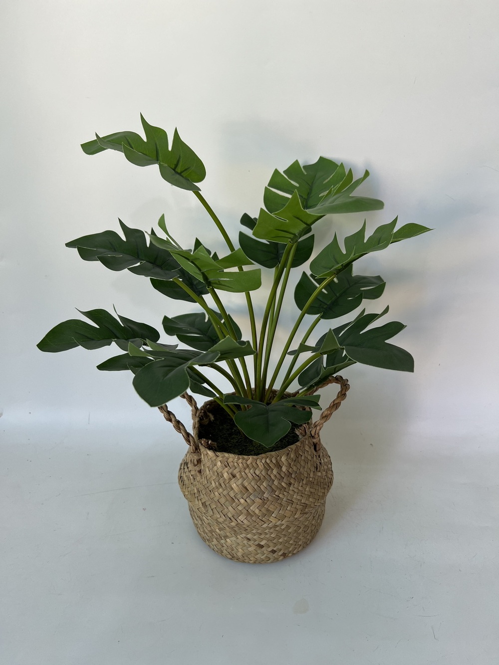 Botanical greenerly
