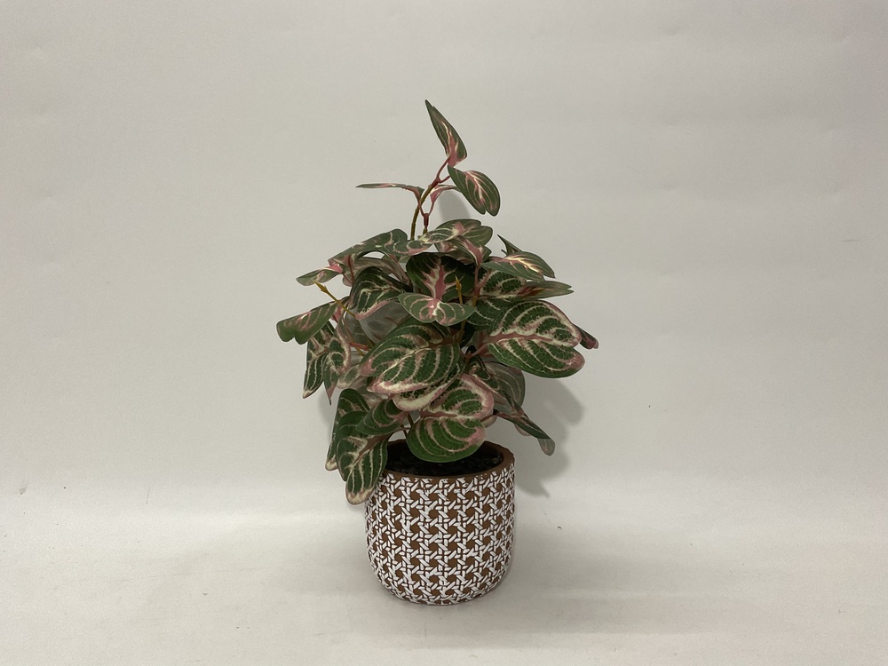 Botanical greenerly