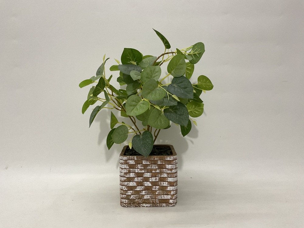 Botanical greenerly