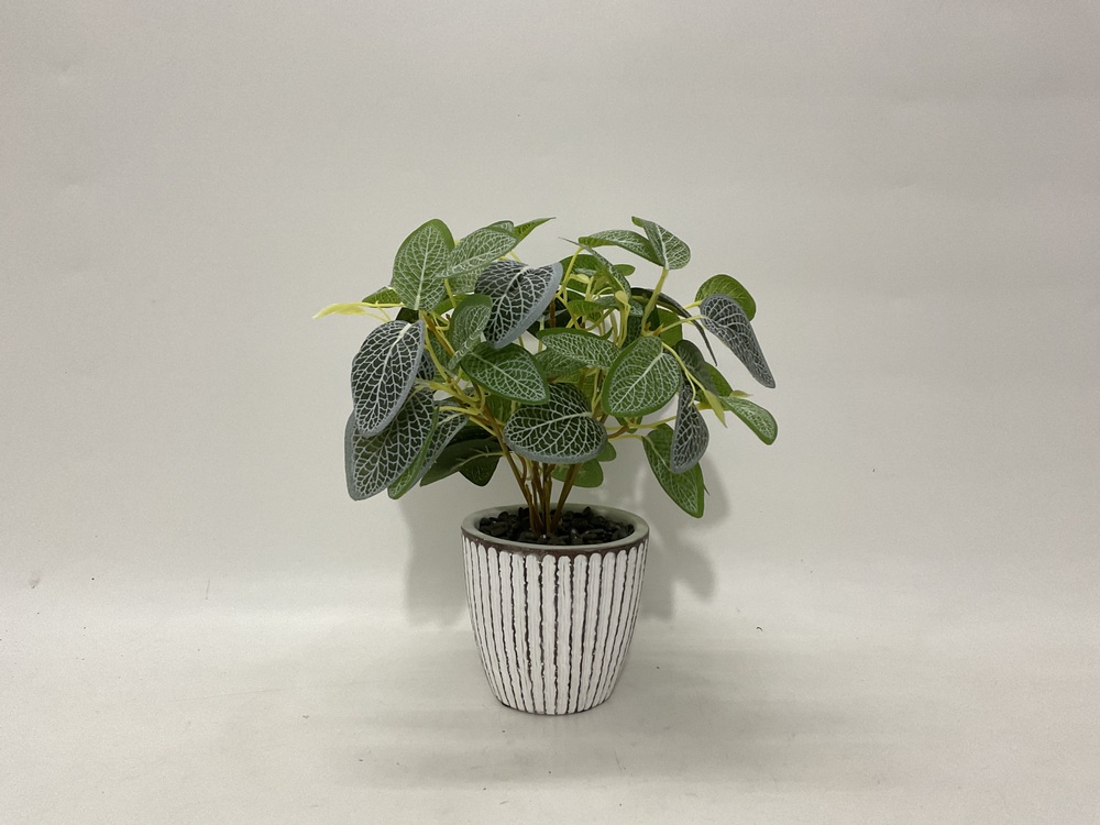 Botanical greenerly