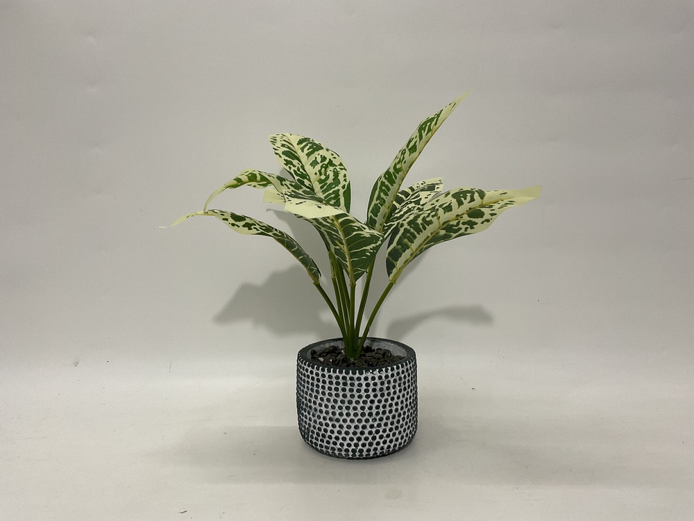 Botanical greenerly