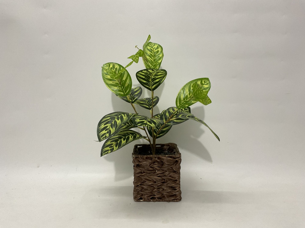 Botanical greenerly