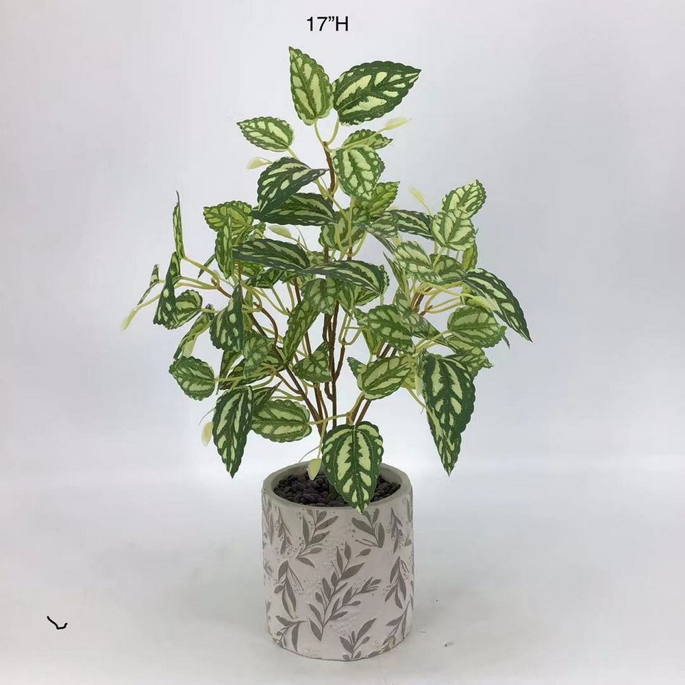 Botanical greenerly