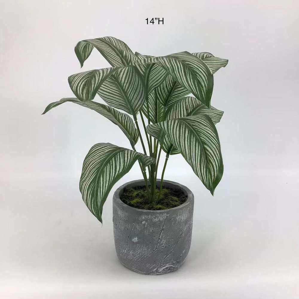 Botanical greenerly
