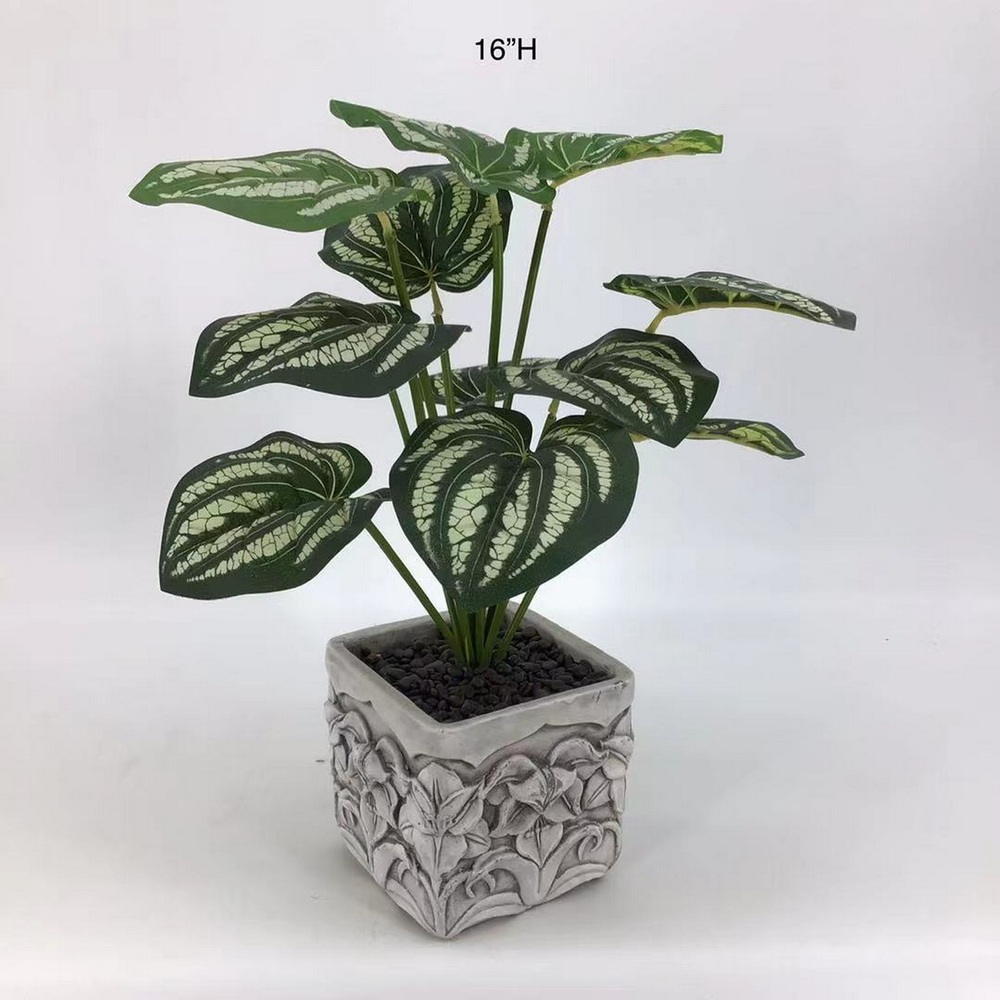 Botanical greenerly