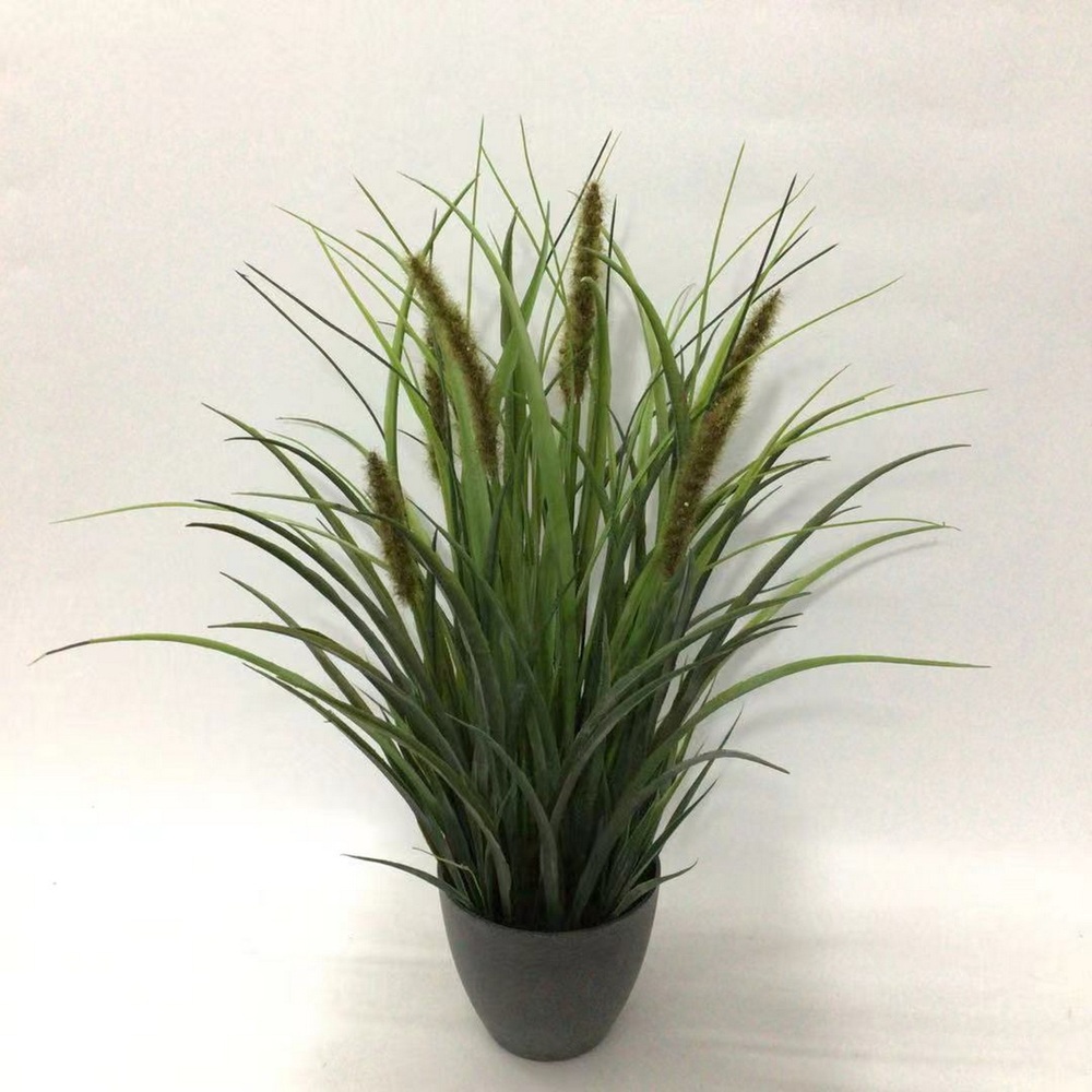 Botanical greenerly