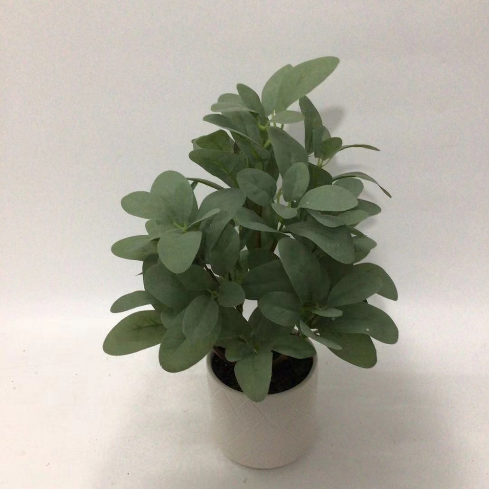 Botanical greenerly