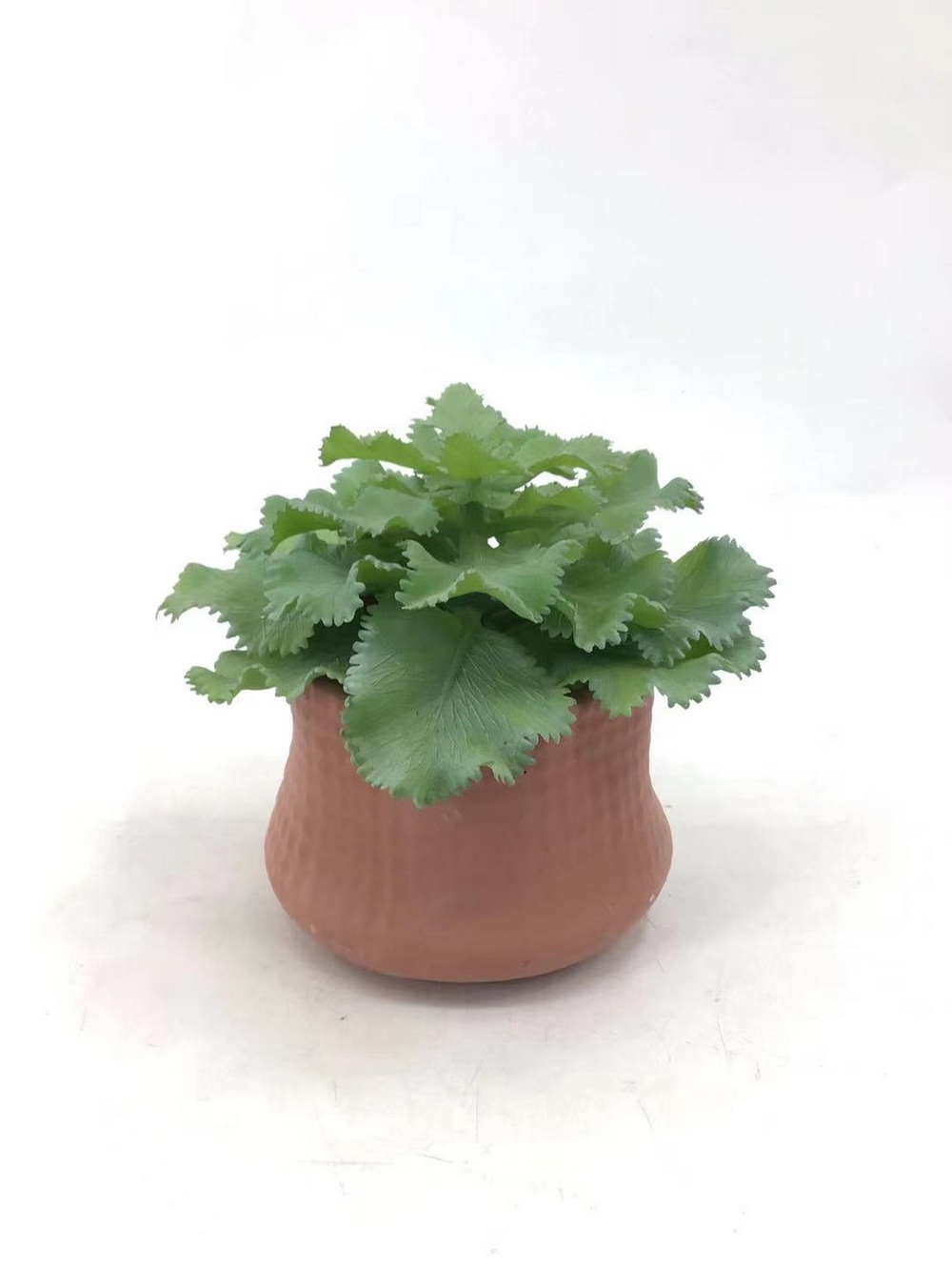 Botanical greenerly