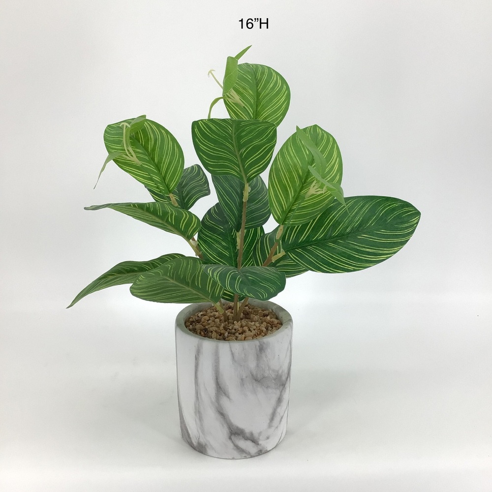Botanical greenerly