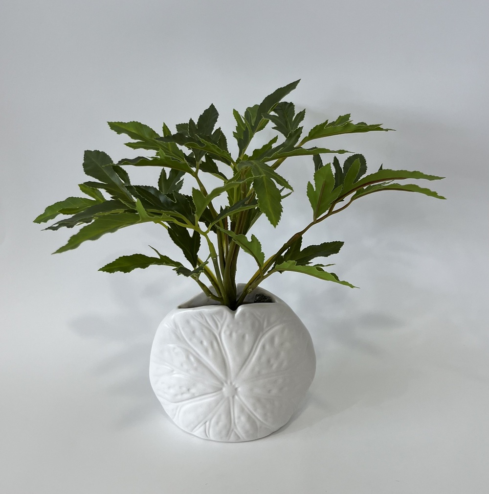 Botanical greenerly