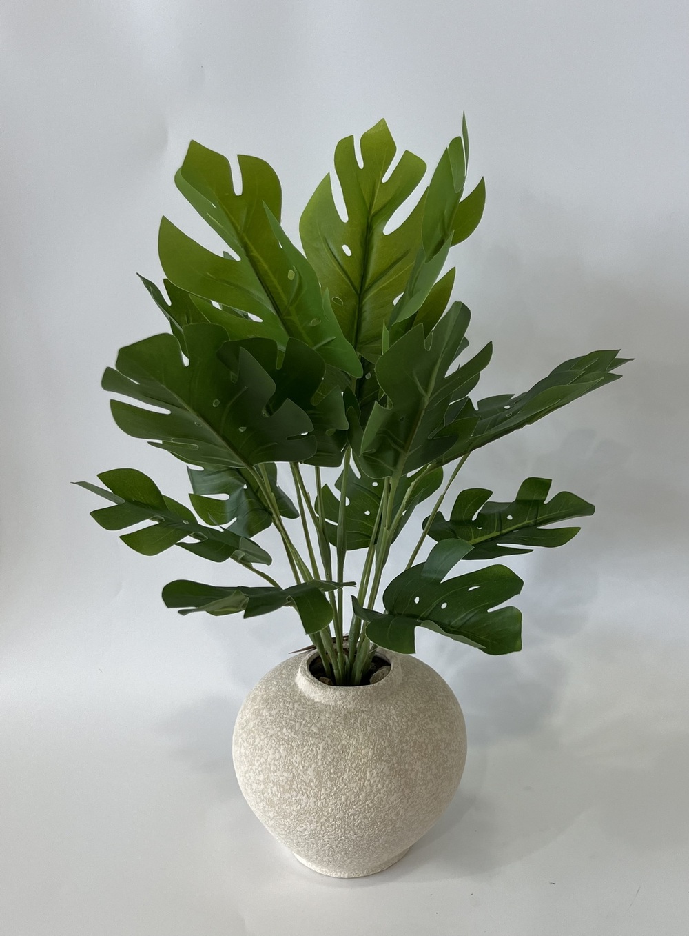 Botanical greenerly