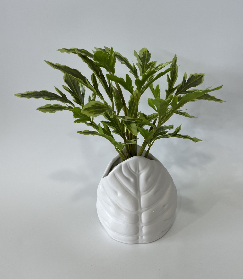 Botanical greenerly