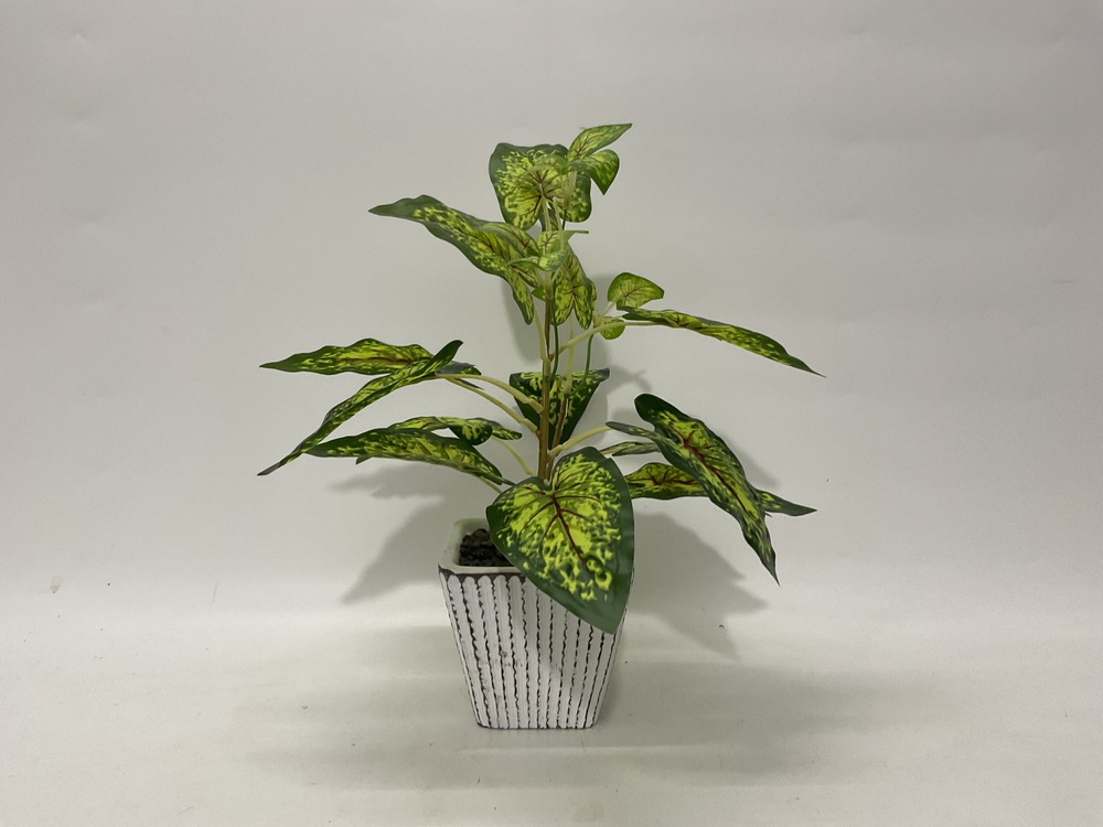 Botanical greenerly