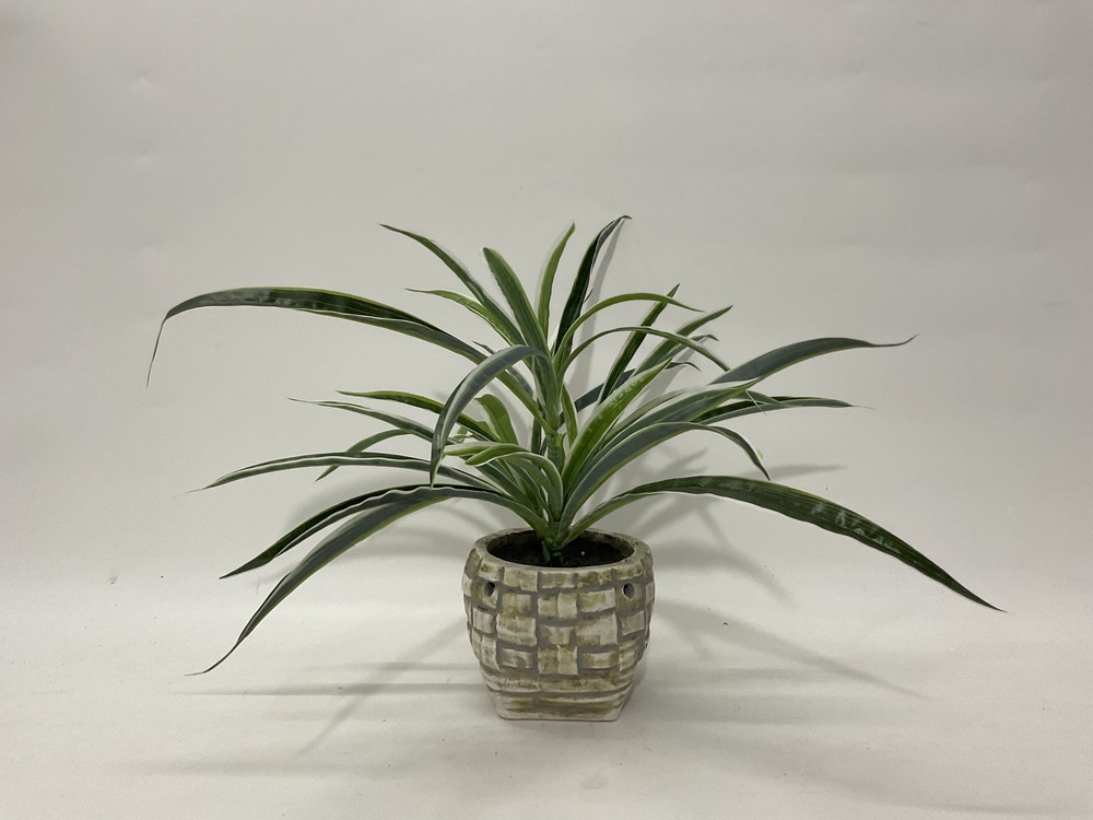 Botanical greenerly