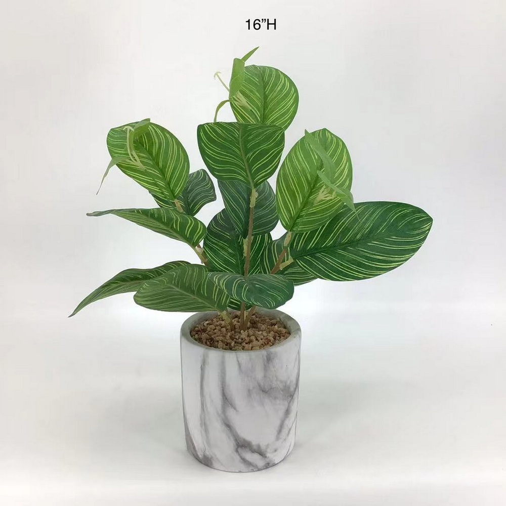 Botanical greenerly