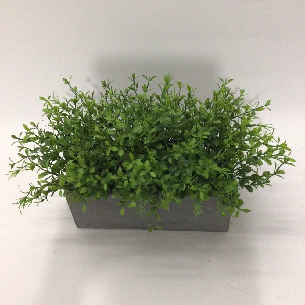 Botanical greenerly