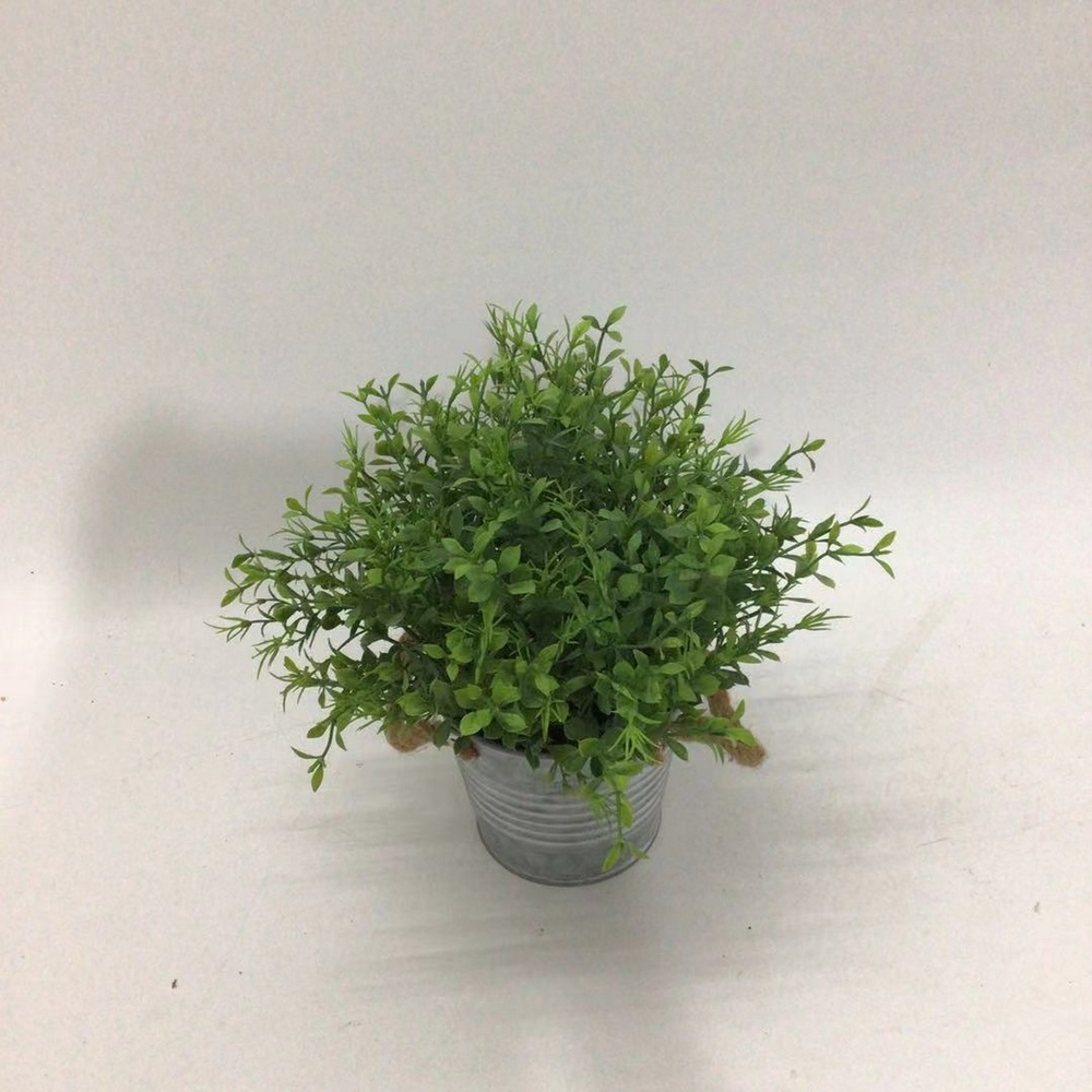 Botanical greenerly