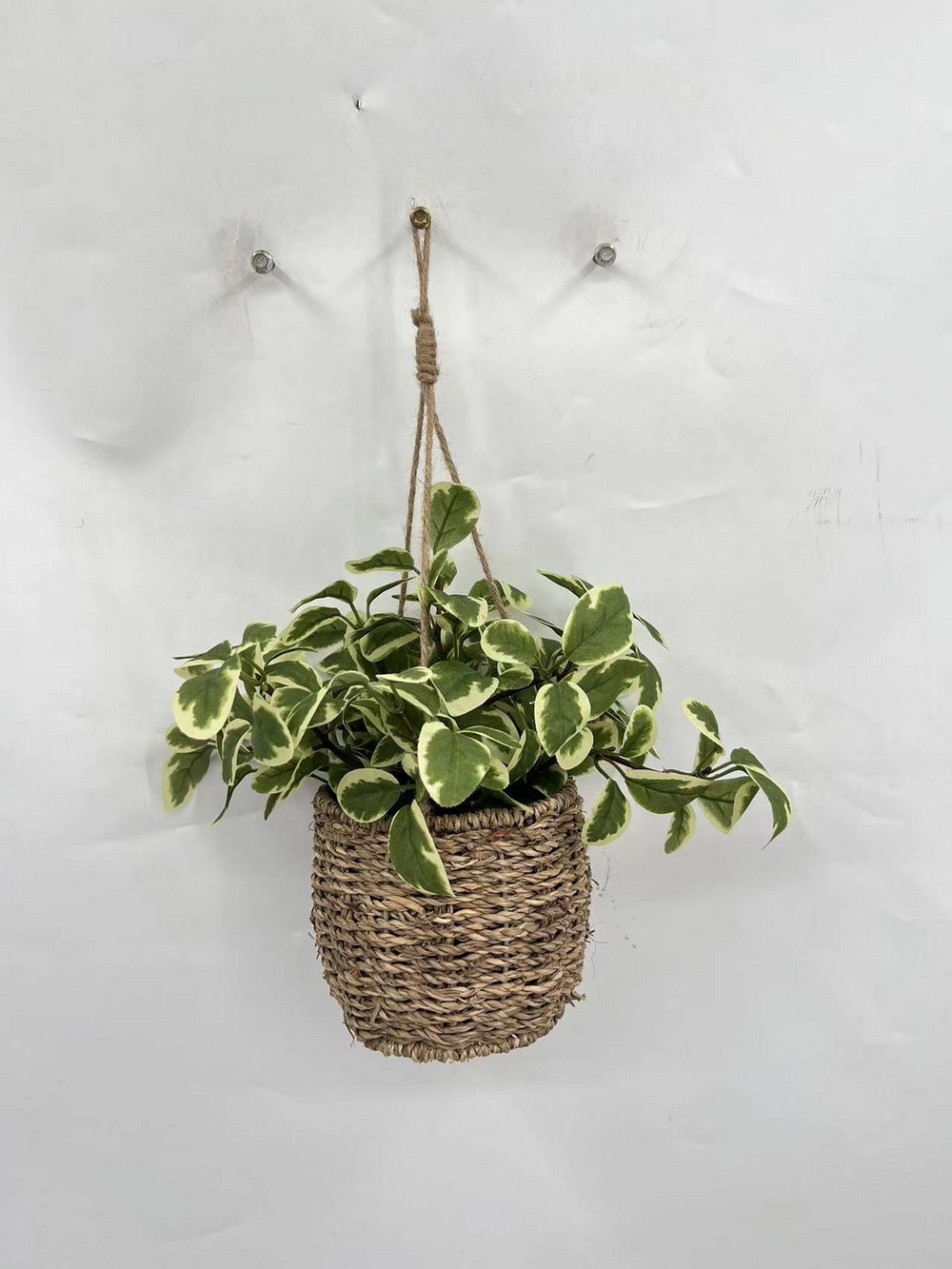 Botanical greenerly