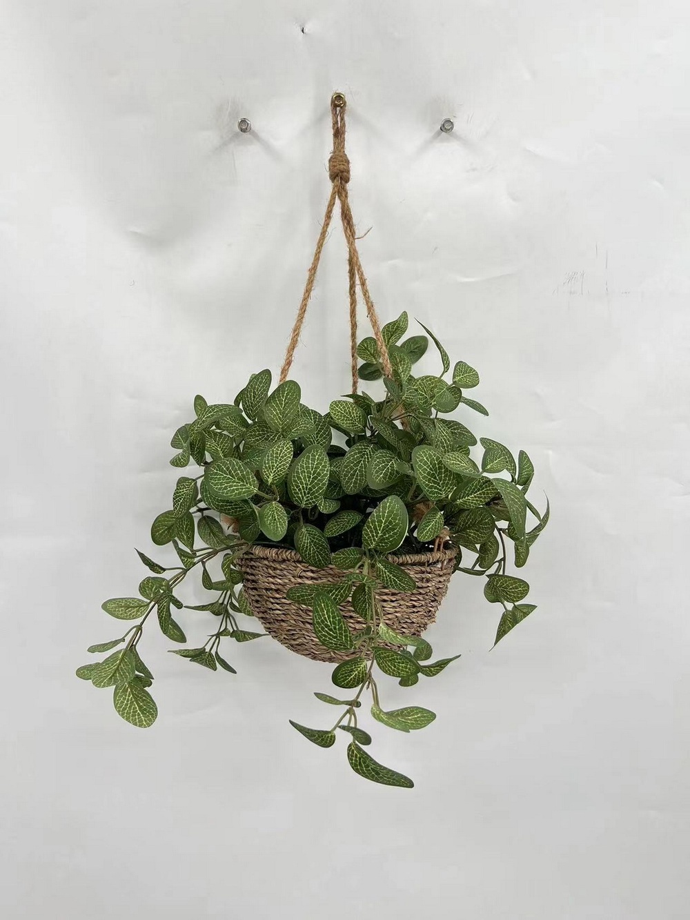 Botanical greenerly