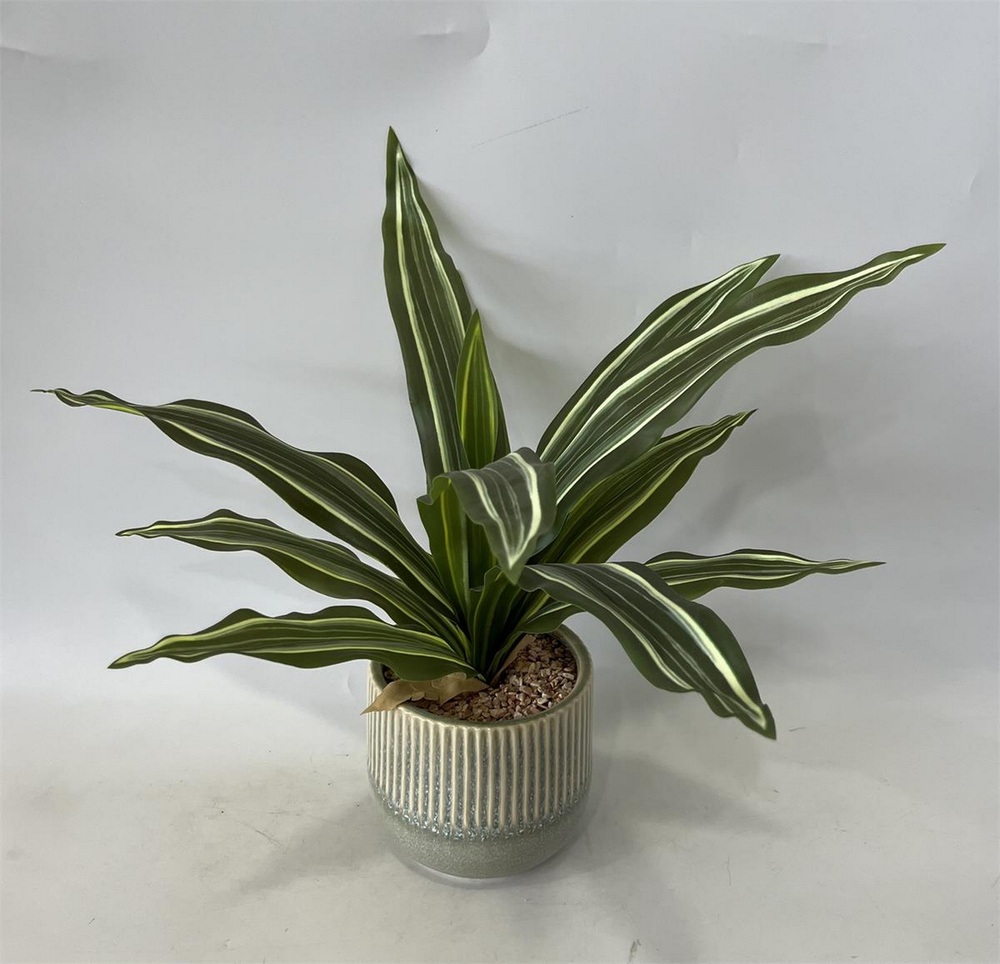 Botanical greenerly