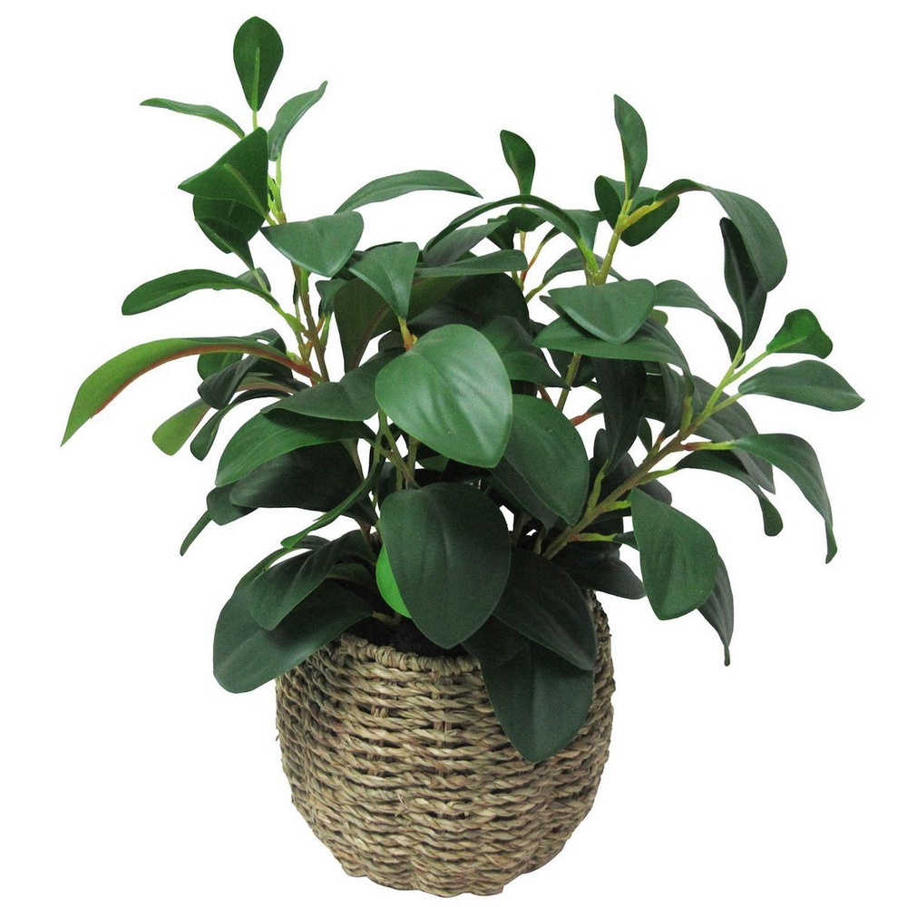 Botanical greenerly