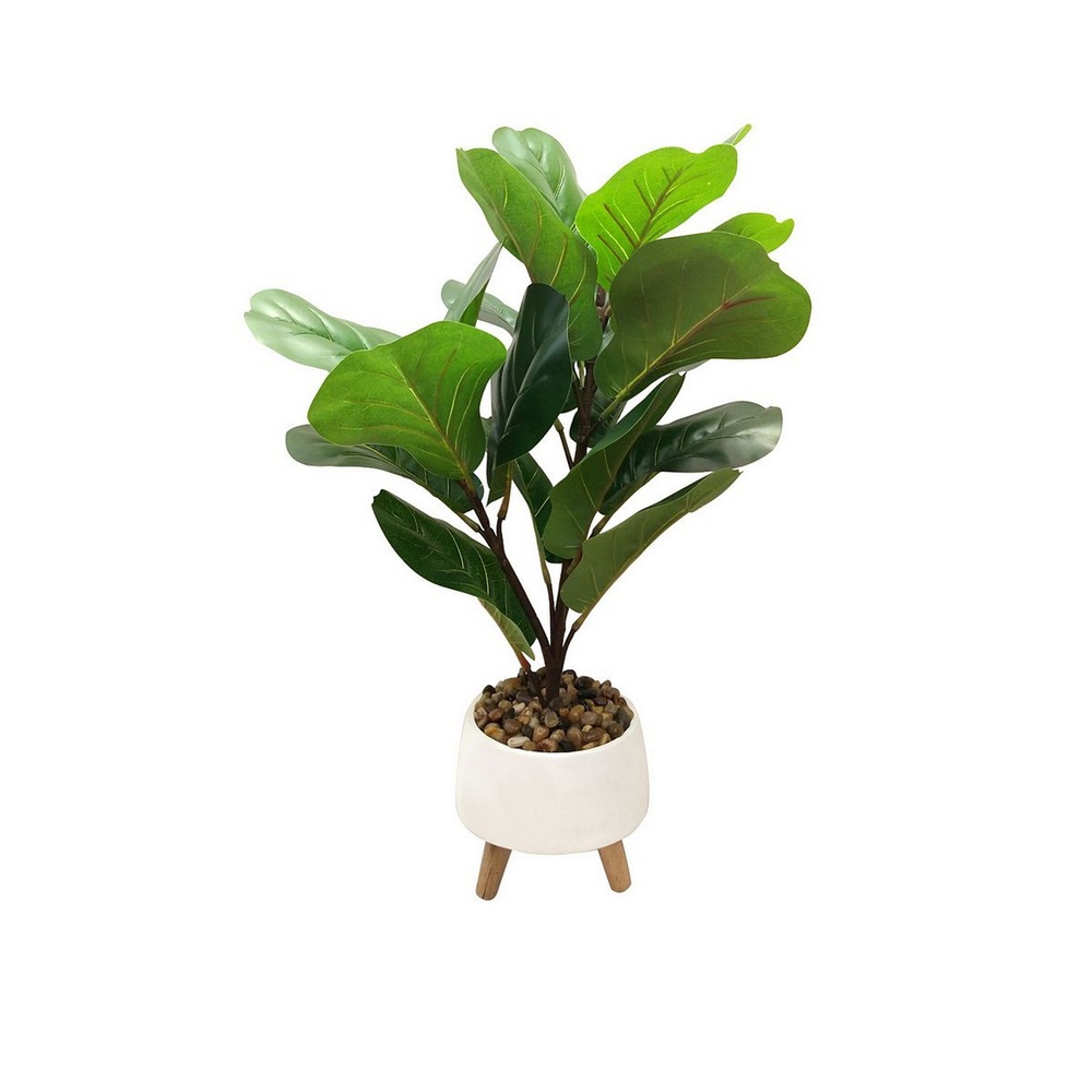 Botanical greenerly